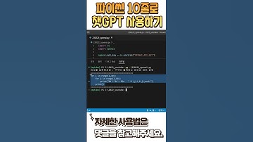 파이썬 코드 10줄로 chatgpt 사용하기 #shorts