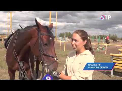 Малые города России: Красный Яр - кто открыл Музей каменных изваяний