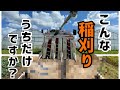 稲刈りこのやり方でやってるのってうちだけなんですかね?稲刈り始まりました!三菱コンバイン5条刈り65馬力