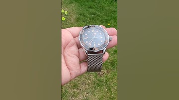 Seiko mod seamaster