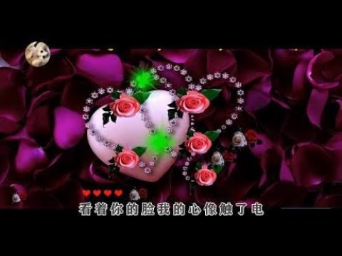 龙梅子（重要的事情说三遍）DJ