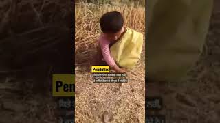 sabar#instagram #shorts #viral #trending #youtubeshorts #punjabi #Penduflix