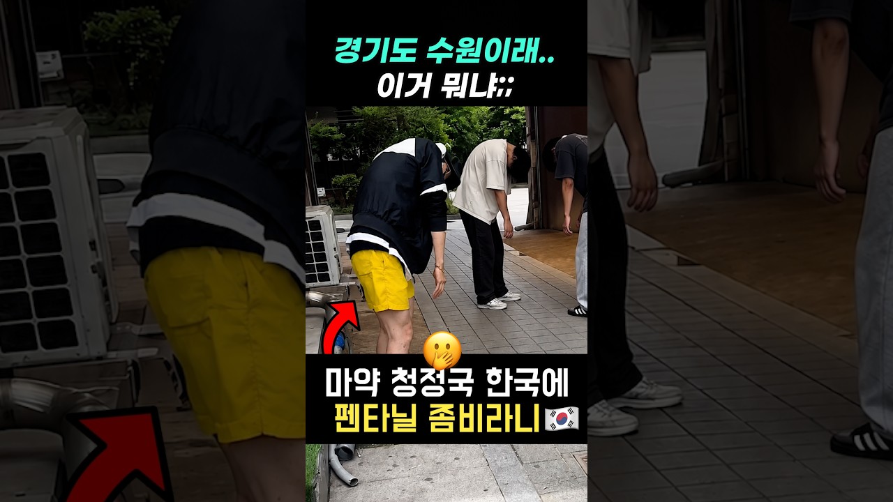 한국 맞아?