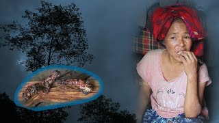 Family in the Jungle || sEASON - 2 || vIDEO - 71 || cowshed meal || Rural Nepal & pastoral Life ||