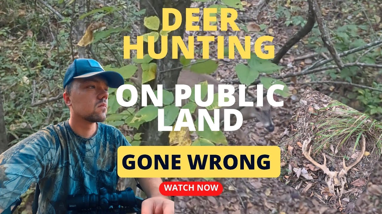 Deer Hunting On Public Land Gone Wrong YouTube