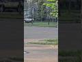 Hilarious Bunny and Magpie Encounter in Canada | Magpie Gets Bullied by a Bunny