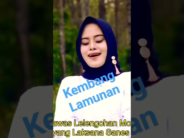 Kembang Lamunan #nina #lagusunda #lagupopsunda #sundalawas #trendingvideo #sundaviral class=