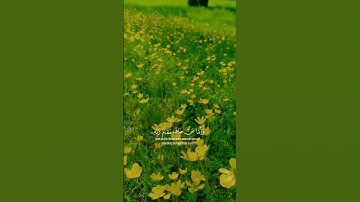 #القرآن_الكريم #تلاوات #تلاوة #قرآن #قران_كريم #اكسبلور #ترند #تيك_توك #سناب #سفر