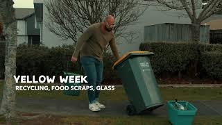 When do I put the bins out?