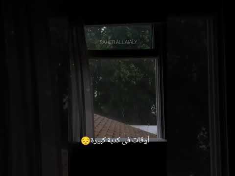 أغنية كلام فى كلام نداء شرارة