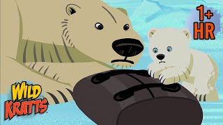 Rescuing the Polar Bear | Animals of the Cold | Adventures with The Kratts | 9 Story Kids