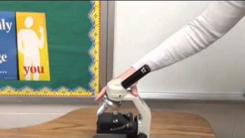 Calculating Total Magnification