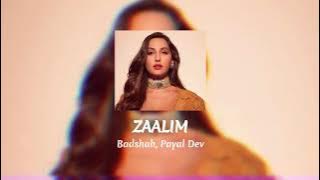 ZAALIM - Badshah, Nora Fatehi | Payal Dev | Abderafia El Abdioui | Bhushan K | Audio   Lyrics
