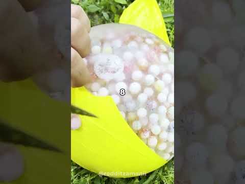 What Was The Coldest Revenge You Ever Took On Someone 