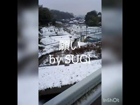 【願い/sumika】歌ってみた by SUGi