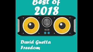 David Guetta   Freedom Audio