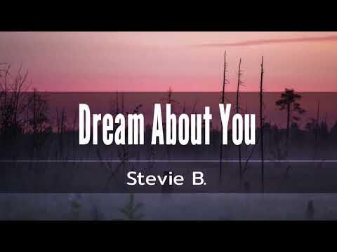 dream about you/stevie