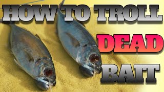 'Trolling and Rigging Dead Bait: A Complete Guide for Fishing Success'