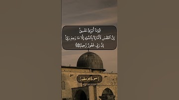 سورة يوسف الآية ٥٣ الى ٥٥ بصوت الشيخ محمد صديق المنشاوي