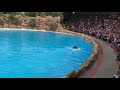 Испания, Канарские острова, Тенерифе, Loro parque