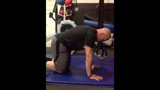 Front lean rest on rings and negative push ups
