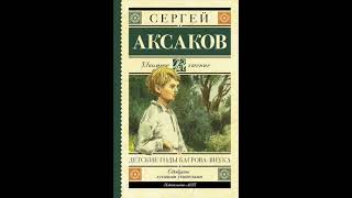 &quot;ДЕТСКИЕ ГОДЫ БАГРОВА-ВНУКА&quot; Сергей Аксаков краткое содержание Baby Book 4 КЛАСС внеклассное чтение