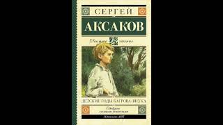 "ДЕТСКИЕ ГОДЫ БАГРОВА-ВНУКА" Сергей Аксаков краткое содержание Baby Book 4 КЛАСС внеклассное чтение