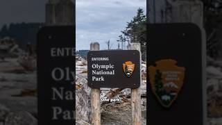 Olympic National Park's Mind Blowing Beauty!