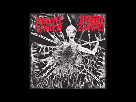 Mammoth Grinder - Surveilled