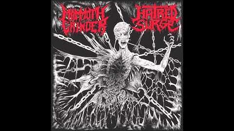 Mammoth Grinder - Surveilled