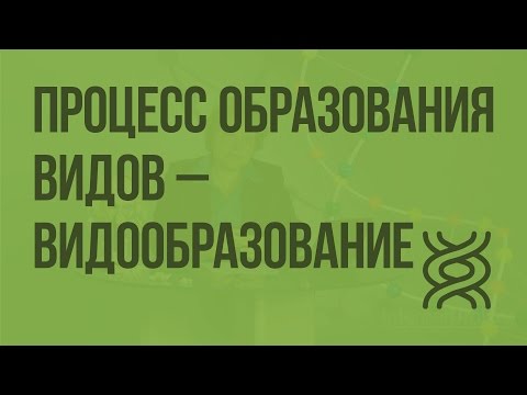 Процесс образования видов - видообразование. Видеоурок по биологии 9 класс