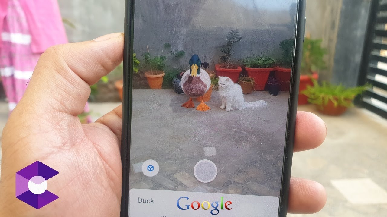 How to Use Google's View in 3D Feature to See Animals