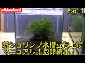 爆殖必見！新しいシュリンプ水槽の立ち上げ方マニュアルPart1 アクアリウム