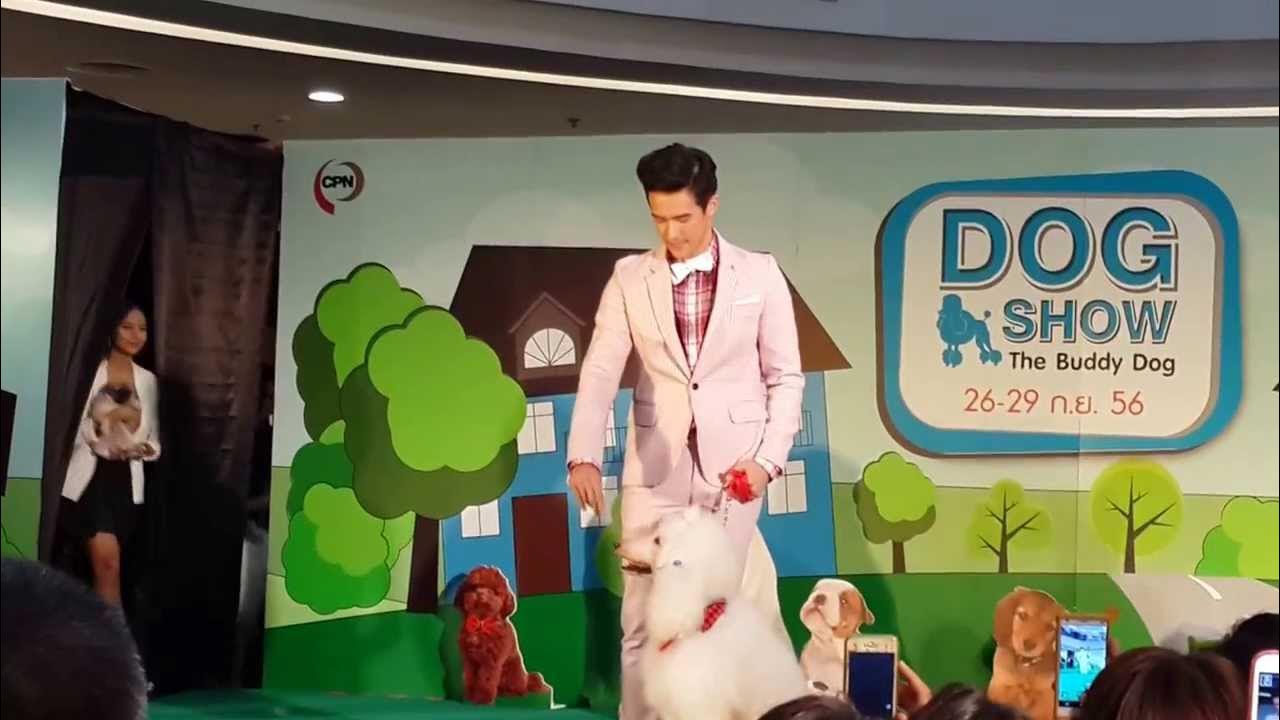 เจมส์ มาร์ เดินแบบ Dog ShowCentral ชลบุรี YouTube