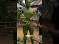 Midline Coaching Aniket Mhatre #shortsfeed #shorts #shortvideo