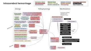 Intracerebral hemorrhage (mechanism of disease)
