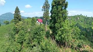 Bir süredir kanalda paylaşım yapmamamın sebebi