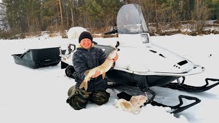 СИБИРЬ. С ЩЕНКАМИ ПО НАСТУ. ПРОВЕРЯЕМ ЖЕРЛИЦЫ НА ЩУКУ. ТЕСТИРУЕМ БЕНЗОПИЛУ KROFF.