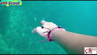 سبحت ?‍♀مع أكبر سلحفاة في جزيرة كوتاو. ??أمسكتنا عاصفة رعدية داخل البحر??? I Swim With Water Turtle