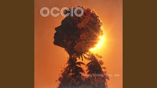 Everything you do Net Worth