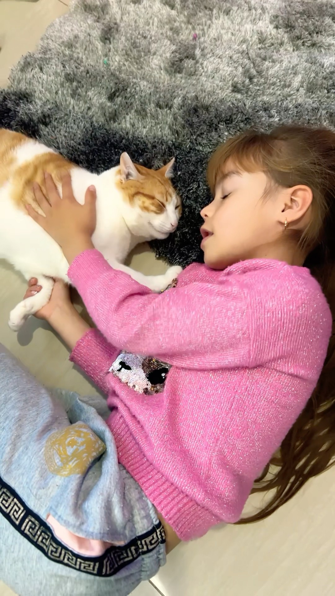 NOS TOCÓ ESCOGER ?el gato o la perrita ?#humor #humorfamiliar #cosasdecasa #cosasdecasa