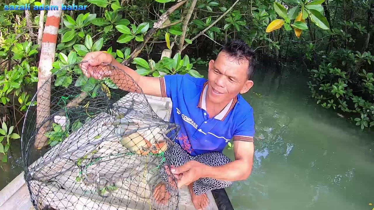bento ketam menggunakan umpan ikan belukang part2(30-1-2020) ep. 105