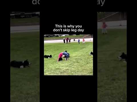 Subscribe For More Inspiring Content Animalmemes Funnyanimals Animalvideo