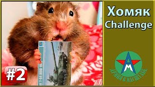 видео: Хомяк Challenge картинка: Хомяк Challenge