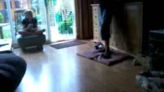 Video0106.mp4
