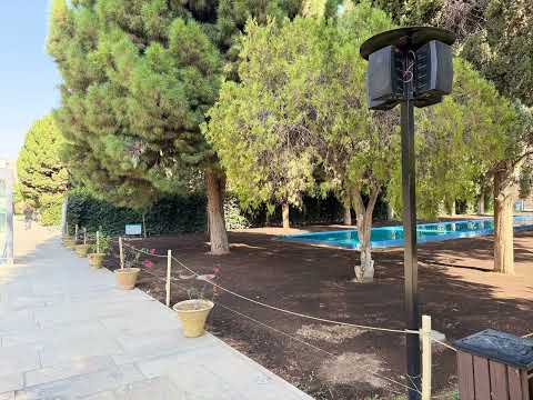 1 ایران شیراز جلوه ای ازبوستان حافظ        شيراز لمحة من حديقة حافظ
