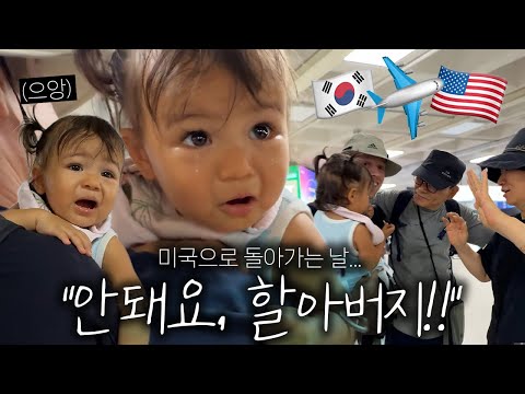 '할아버지! 날 두고 가지마!'... 미국행 비행기 타기 싫어서 몸부림치는 아기