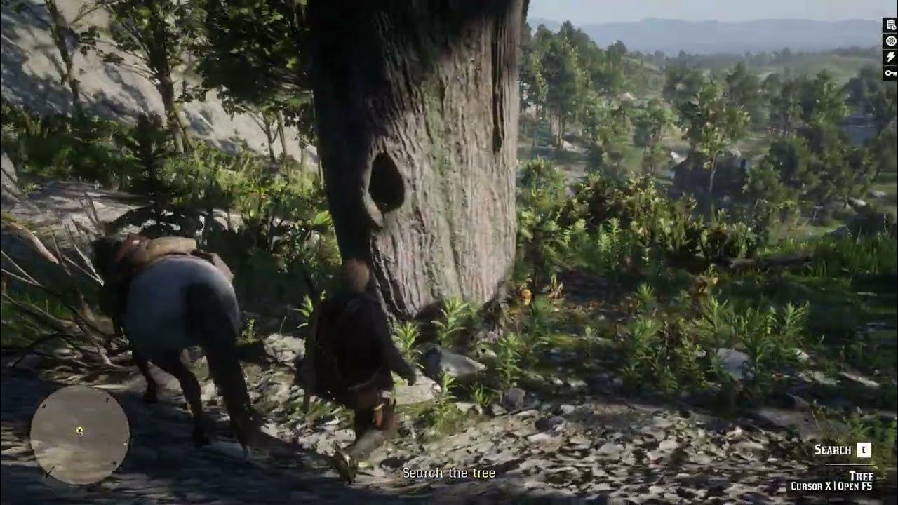 RDR2 Secret Treasure in Tree in Red Dead Redemption 2 YouTube