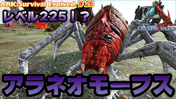 تحميل オニコニクテリス تحميل オニコニクテリス