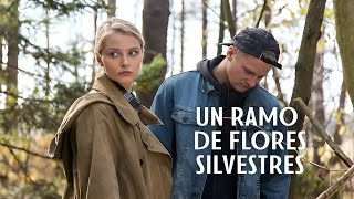 La Película Es Fuego Recomendado Por La Madre De Las Películas Un Ramo De Flores Silvestres